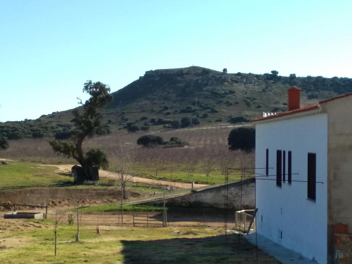 Casa Rural La Galana Albacete Chinchilla de Monte Aragon Exterior photo